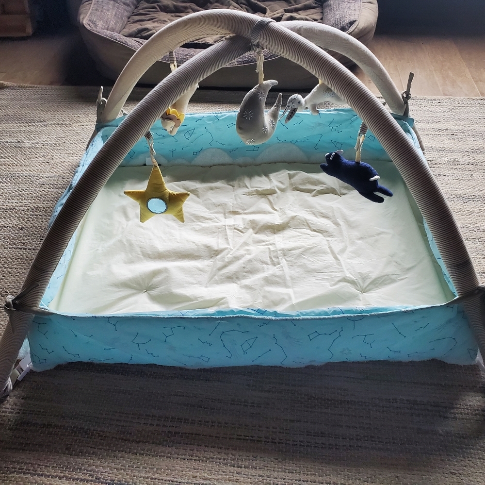 Land of Nod Activity Gym